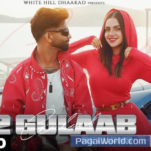 2 Gulaab Returns Poster