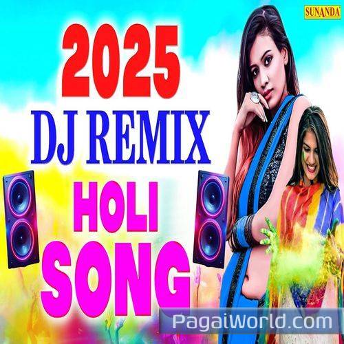 2025 Dj Remix Holi Song Poster