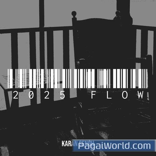 2025 Flow 2025 Flow Poster