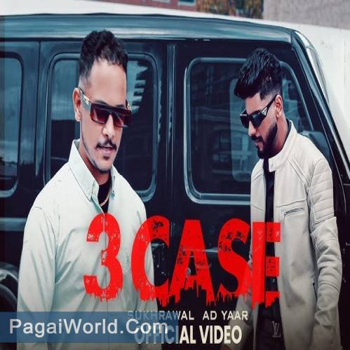 3 Case 3 Case Poster