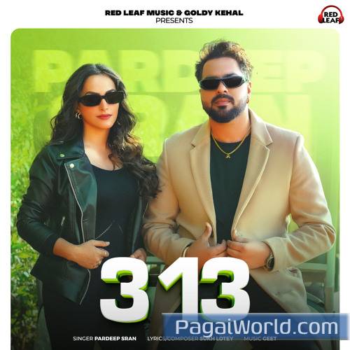3,13 Poster