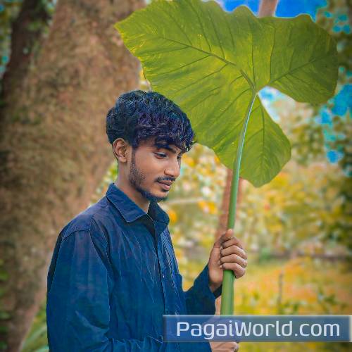 A Re Bewafa Gori Insta Trending A Re Bewafa Gori Insta Trending Poster