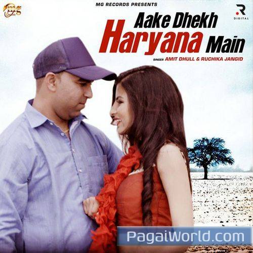 Aake Dhekh Haryana Main Aake Dhekh Haryana Main Poster