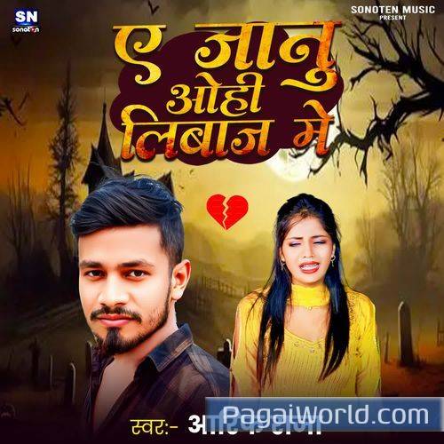 Ae Janu Ohi Libaj Me Ae Janu Ohi Libaj Me Poster