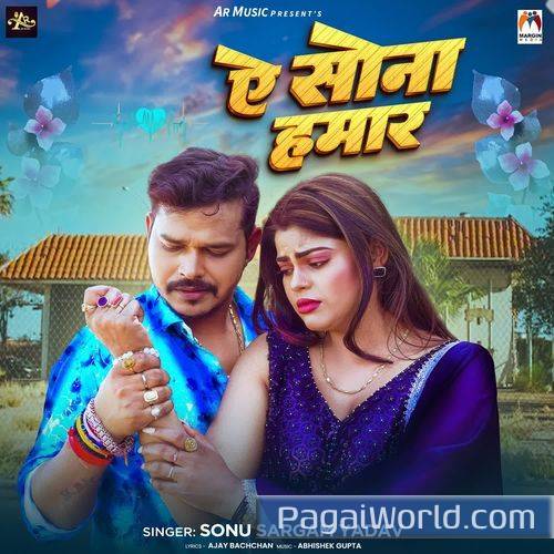 Ae Sona Hamar Ae Sona Hamar Poster