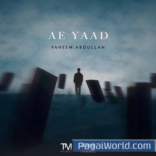 Ae Yaad Ae Yaad Poster