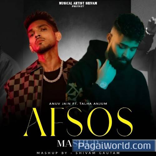 Afsos Mashup Poster