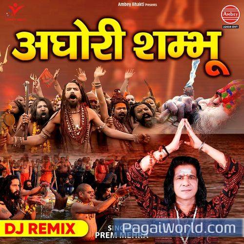 Aghori Shambhu DJ Remix Poster