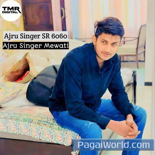 Ajru Singer SR 6060 Ajru Singer SR 6060 Poster