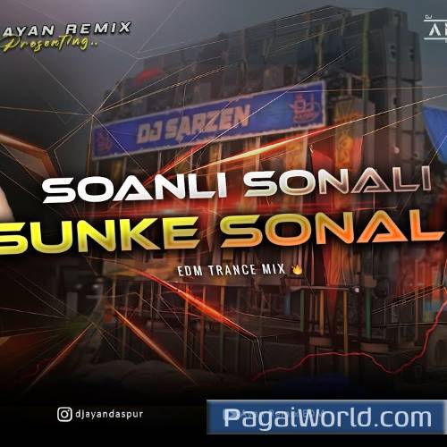 Ali Ali Sunke Ali Remix Edm Poster