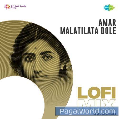 Amar Malatilata Dole   Lofi Mix Poster