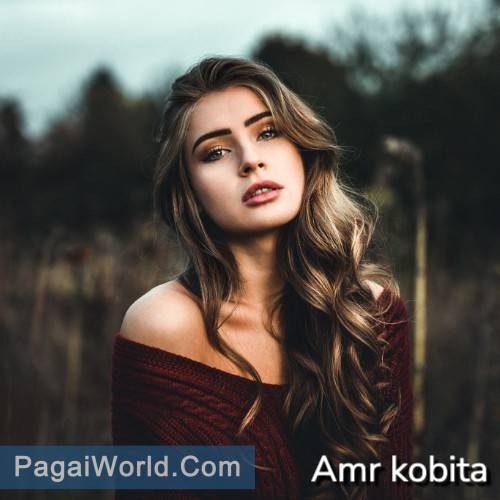Amr kobita Amr kobita Poster