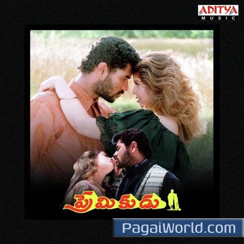 Andamanani Premarani Andamanani Premarani Poster