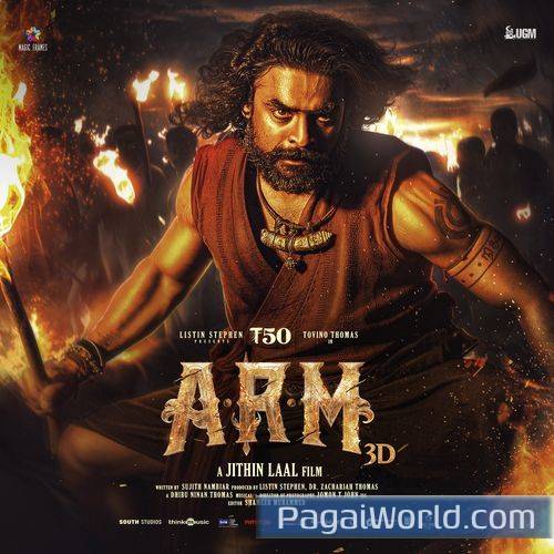 Angu Vaana Konilu Poster