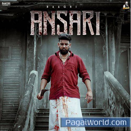 Ansari Ansari Poster