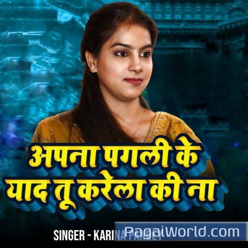 Apna Pagli Ke Yaad Tu Karela Ki Na Apna Pagli Ke Yaad Tu Karela Ki Na Poster