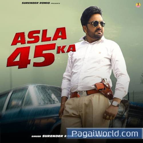 Asla 45 Ka Asla 45 Ka Poster
