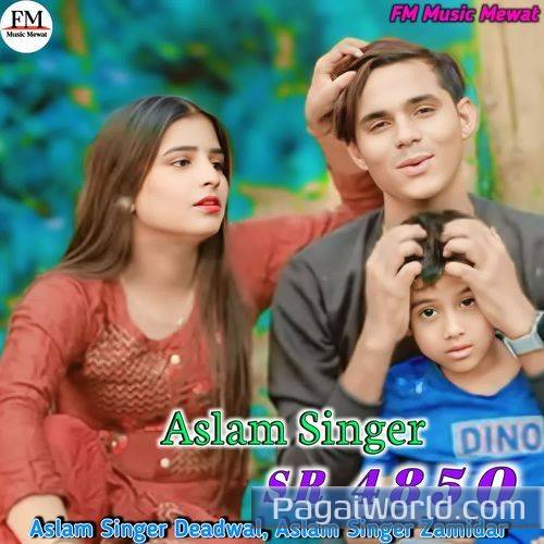 Aslam Singer Sr 4850 Aslam Singer Sr 4850 Poster