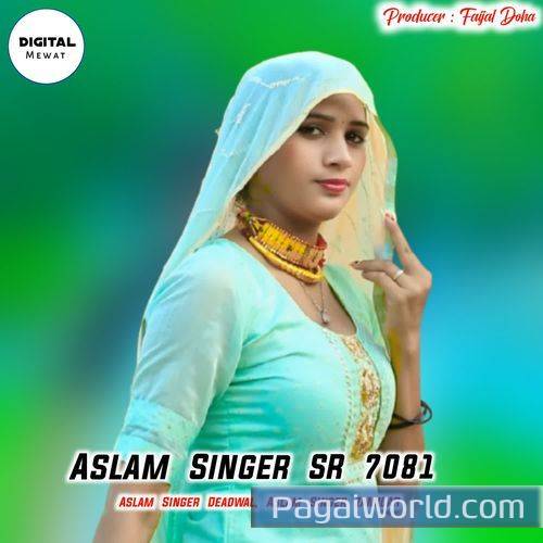 Aslam Singer Sr 7081 Aslam Singer Sr 7081 Poster