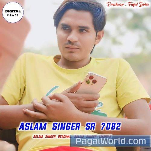 Aslam Singer Sr 7082 Aslam Singer Sr 7082 Poster