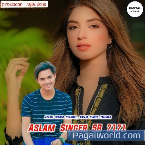 Aslam Singer Sr 7171 Aslam Singer Sr 7171 Poster