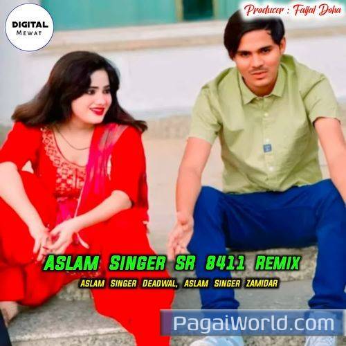 Aslam Singer Sr 8411 Aslam Singer Sr 8411 Poster