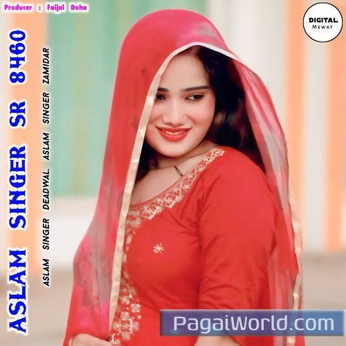 Aslam Singer Sr 8460 Aslam Singer Sr 8460 Poster