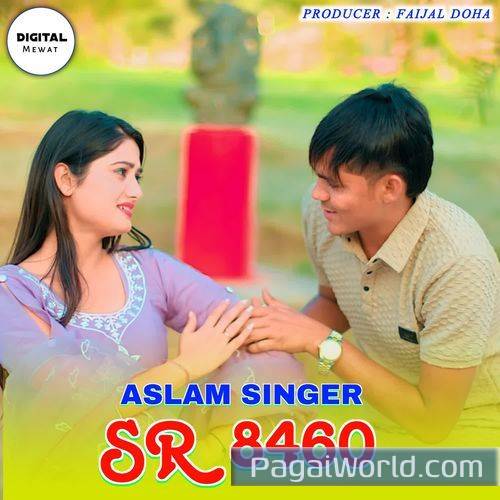 Aslam Singer SR 8460 Aslam Singer SR 8460 Poster