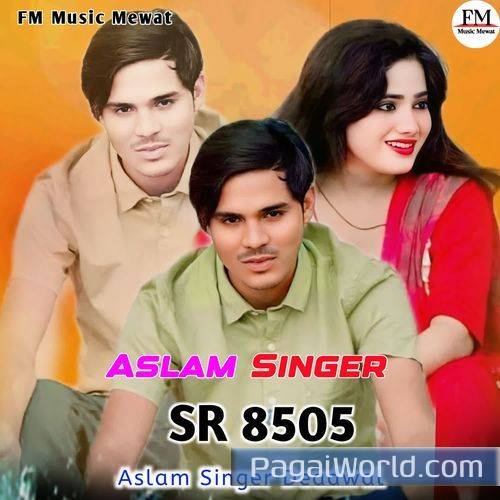 Aslam Singer Sr 8505 Aslam Singer Sr 8505 Poster