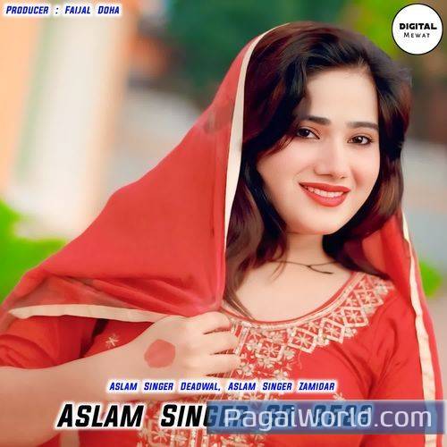 Aslam Singer Sr 8589 Aslam Singer Sr 8589 Poster
