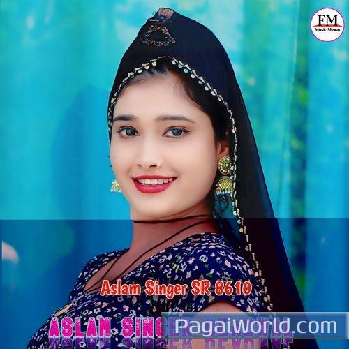 Aslam Singer SR 8610 Aslam Singer SR 8610 Poster