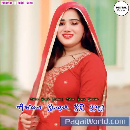 Aslam Singer Sr 8750 Aslam Singer Sr 8750 Poster