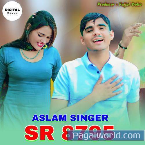 Aslam Singer SR 8795 Aslam Singer SR 8795 Poster