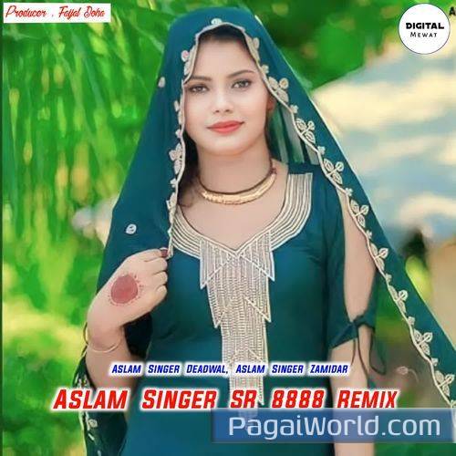 Aslam Singer Sr 8888 Aslam Singer Sr 8888 Poster