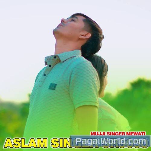 Aslam Singer Sr9050 Aslam Singer Sr9050 Poster