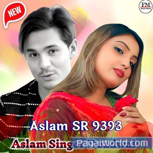 Aslam SR 9393 Aslam SR 9393 Poster
