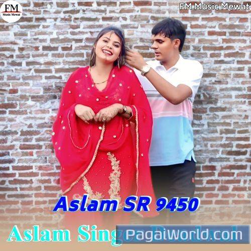 Aslam SR 9450 Aslam SR 9450 Poster