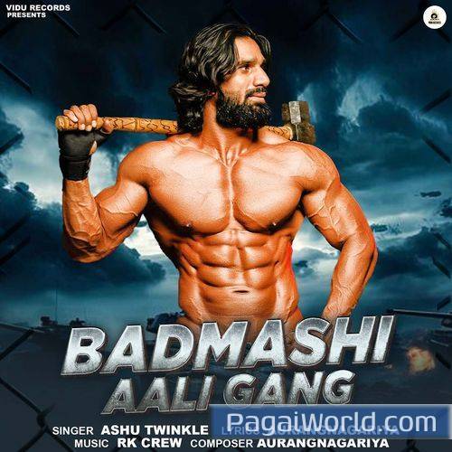 Badmashi Aali Gang Badmashi Aali Gang Poster