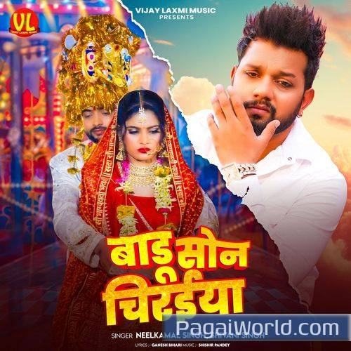 Badu Son Chiraiya Poster