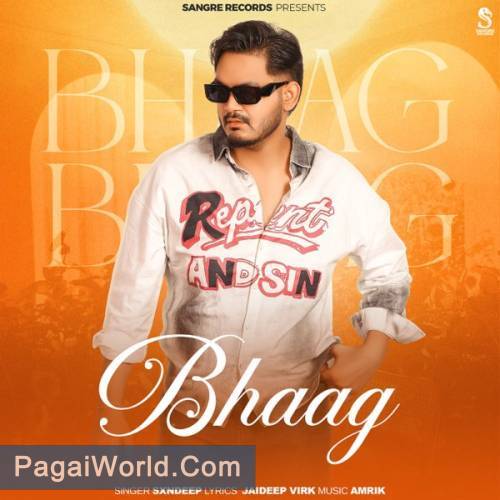 Bhaag Bhaag Poster