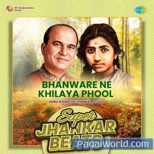 Bhanware Ne Khilaya Phool   Super Jhankar Beats Poster