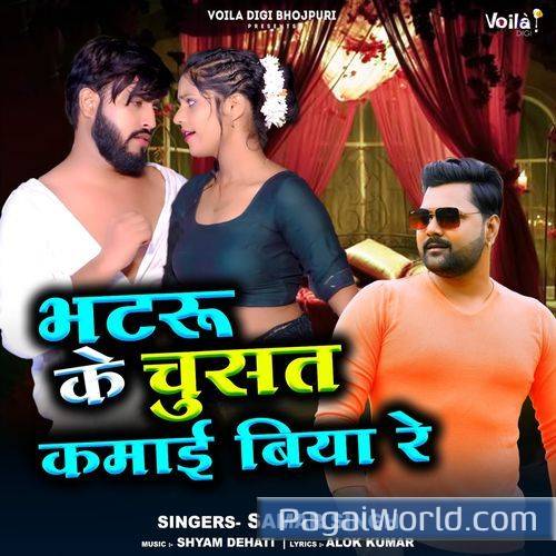 Bhatru Ke Chusat Kamaai Biya Re Bhatru Ke Chusat Kamaai Biya Re Poster