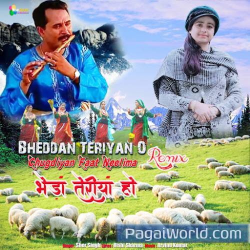 Bheddan Teriyan O Chugdiyan Faat Neelima Remix Poster