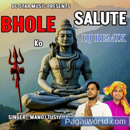 BHOLE KO SALUTE DJ REMIX BHOLE KO SALUTE DJ REMIX Poster