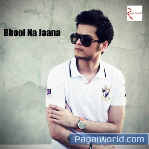 Bhool Na Jaana Poster