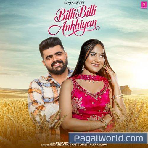 Billi Billi Ankhiyan Billi Billi Ankhiyan Poster