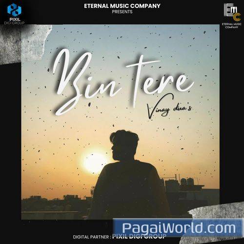 Bin Tere Bin Tere Poster