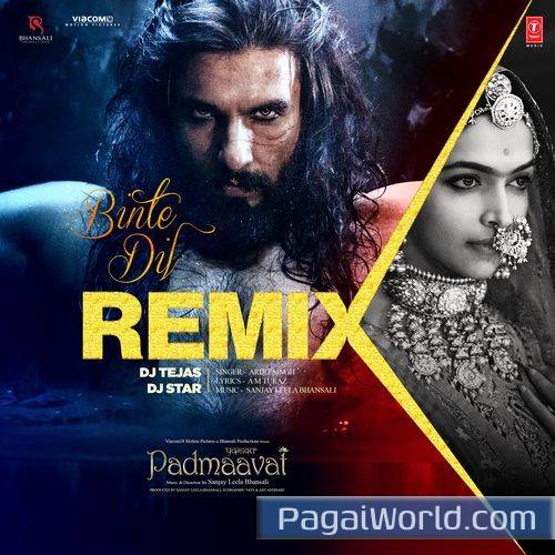Binte Dil RemixRemix By Dj TejasDj Star Poster