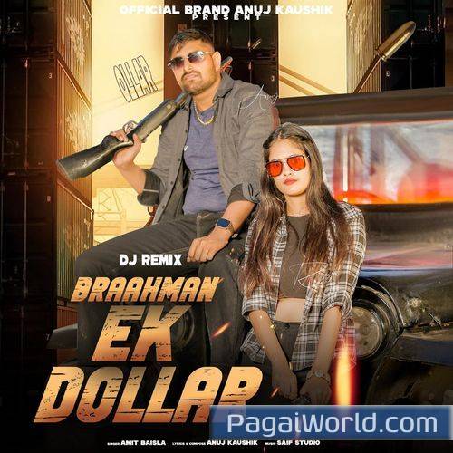 Brahman Ek Dollar DJ Remix Poster