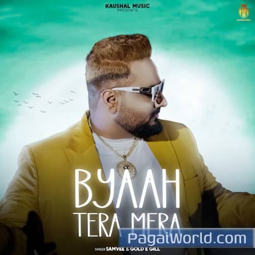 Byaah Tera Mera Byaah Tera Mera Poster